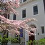 Alliance Francaise
