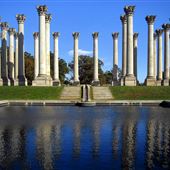U.S. National Arboretum