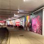 Dupont Underground