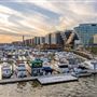 The Wharf