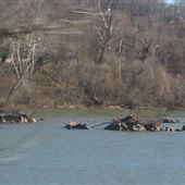 3 Sisters Islands (Potomac River)