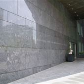 American Association for the Advancement of Science