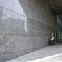 American Association for the Advancement of Science