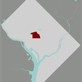 Shaw Neighborhood