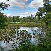 Kenilworth Park & Aquatic Gardens